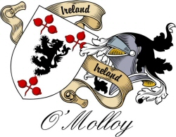 Clan/Sept Crest Wall Shield for the O'Molloy Clan